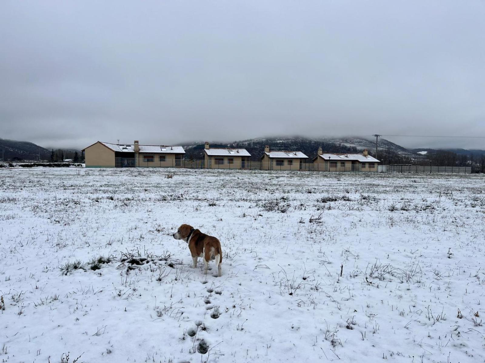Casas Rurales Cuatro Valles Naredo de Fenar Esterno foto